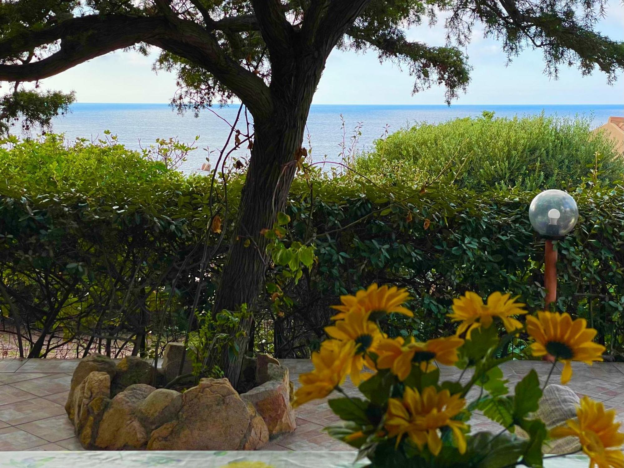 Villetta Dei Ginepri Costa Paradiso Ngoại thất bức ảnh